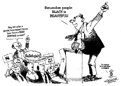 Press Conference Cartoon
