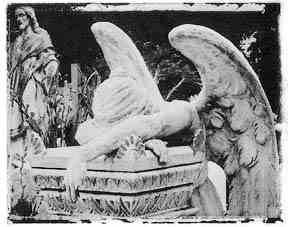Fallen Angels